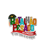 EMSERH_MA emserh tanosangue saojoaomaranhao batalhaopesado Sticker