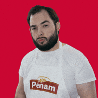 Humor Cesko GIF by Penam