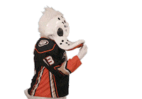 Ice Hockey Sticker by NHL