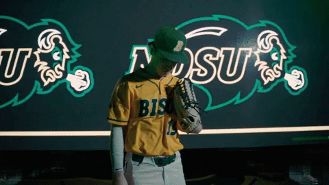 Ndsu Baseball GIF by NDSU Athletics