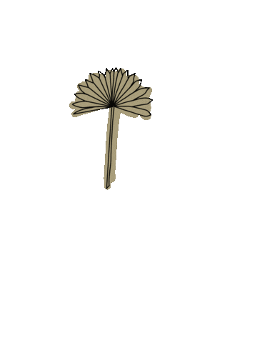 hellomrsharwick giphyupload harwick hellomrsharwick palmfrond Sticker