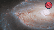 Eye Glow GIF by ESA/Hubble Space Telescope