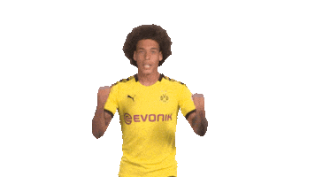 Borussia Dortmund Love Sticker by Bundesliga