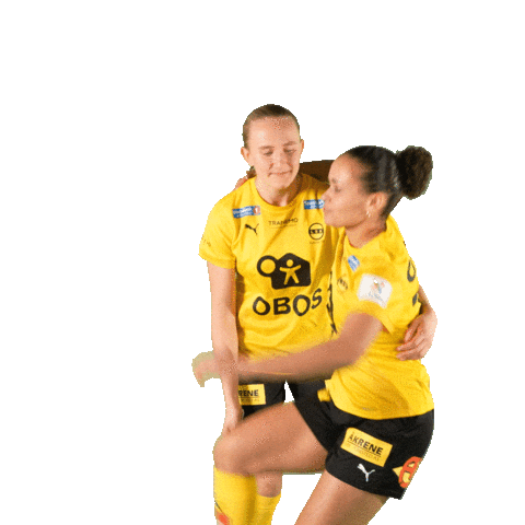 Toppserien Forza Birdsa Sticker by LSK Kvinner FK