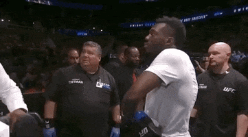 ufc sports sport ufc mma GIF