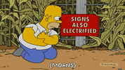 Season 18 Episode 20 GIF by The Simpsons