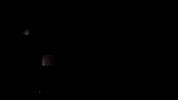 Jamming Out Live Performance GIF by Culture Wars