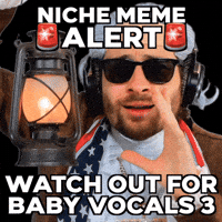 Niche Meme GIF