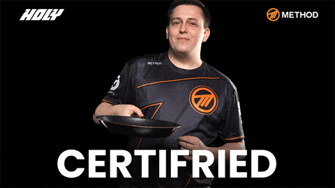 World Of Warcraft Esports GIF by Method