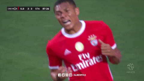 Sl Benfica Slbgif GIF by Sport Lisboa e Benfica