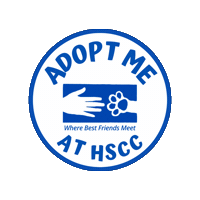Adopt Me Sticker by hsccvt