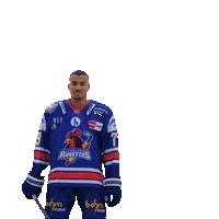 Happy Sport Sticker by Iserlohn Roosters