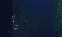 Stay Soft GIF by Mitski