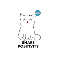 Cat Kitty Sticker by CODDY school