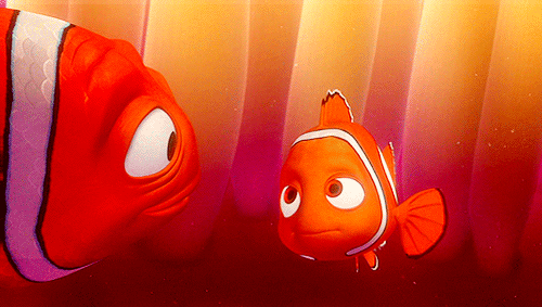 finding nemo this movies the cutest thing and s GIF