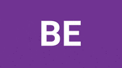 bdhcollective happy bdh collective do be GIF