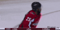 ice hockey spinning GIF by NHL