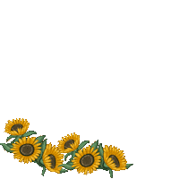 Flower Sticker by Roxy James