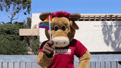 csudhteddytoro gay pride lgbt lgbtq GIF