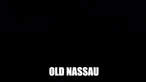 Princetonu GIF by Princeton University