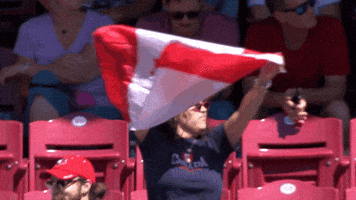 Canadian Baseball GIF by Toronto Blue Jays