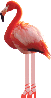 Flamingo Highheel Sticker