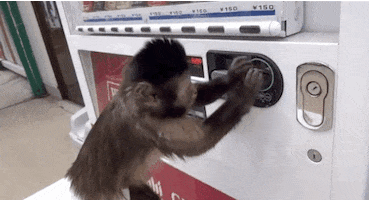 video vending GIF