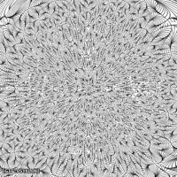loop distort GIF by Psyklon