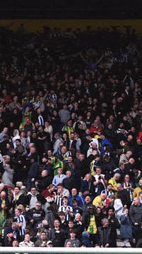 West Brom Wba GIF by West Bromwich Albion