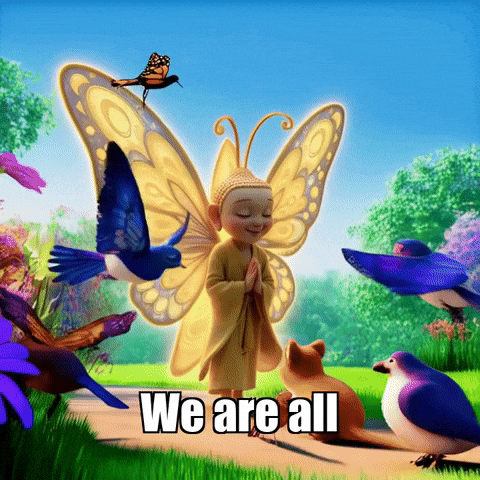 GIF by BuddhaFlyJourney