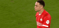 Champions League Football GIF by UEFA