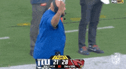 Regular Season Football GIF by NFL