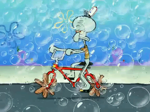 season 6 GIF by SpongeBob SquarePants