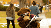 Football Mascot GIF by Montana Grizzlies