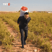 Come On The Way GIF by TRT