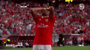 Sl Benfica Slbgif GIF by Sport Lisboa e Benfica