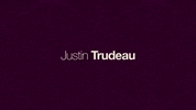 canada canada election 2019 canada federal elections 2019 GIF