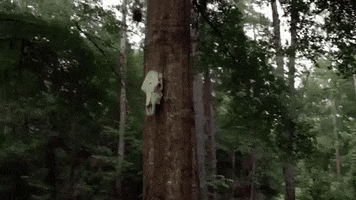 frameworks GIF by Topshelf Records