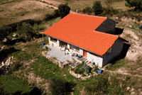 Remax GIF by josecunharemax