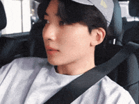 Dk 세븐틴 GIF