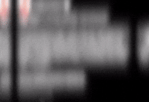 Japan Reels GIF