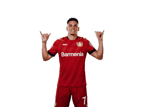 Bayer 04 Win Sticker by Bayer 04 Leverkusen