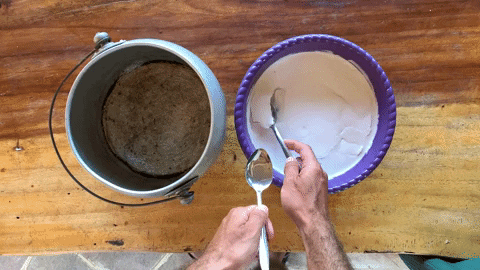 paulocarvalho4761 giphygifmaker GIF