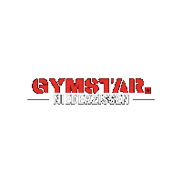 GYMSTARDE star gym gymstar niederzissen Sticker