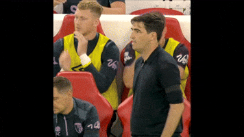 Premier League What GIF by AFC Bournemouth