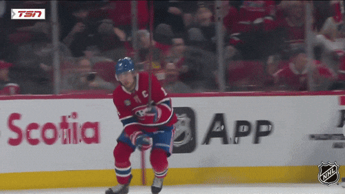 Happy National Hockey League GIF by NHL