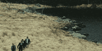 the lobster GIF by A24