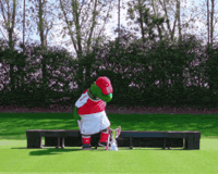 Gunnersaurus GIF by memes