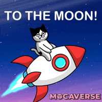 Happy To The Moon GIF by Moca Network