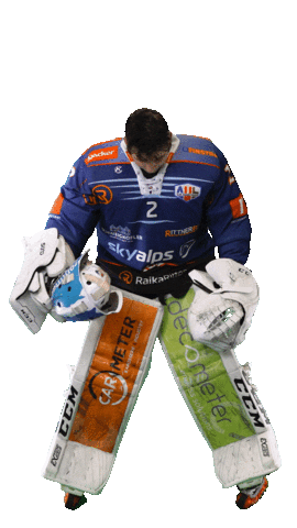 Ice Hockey Sport Sticker by Rittner Buam